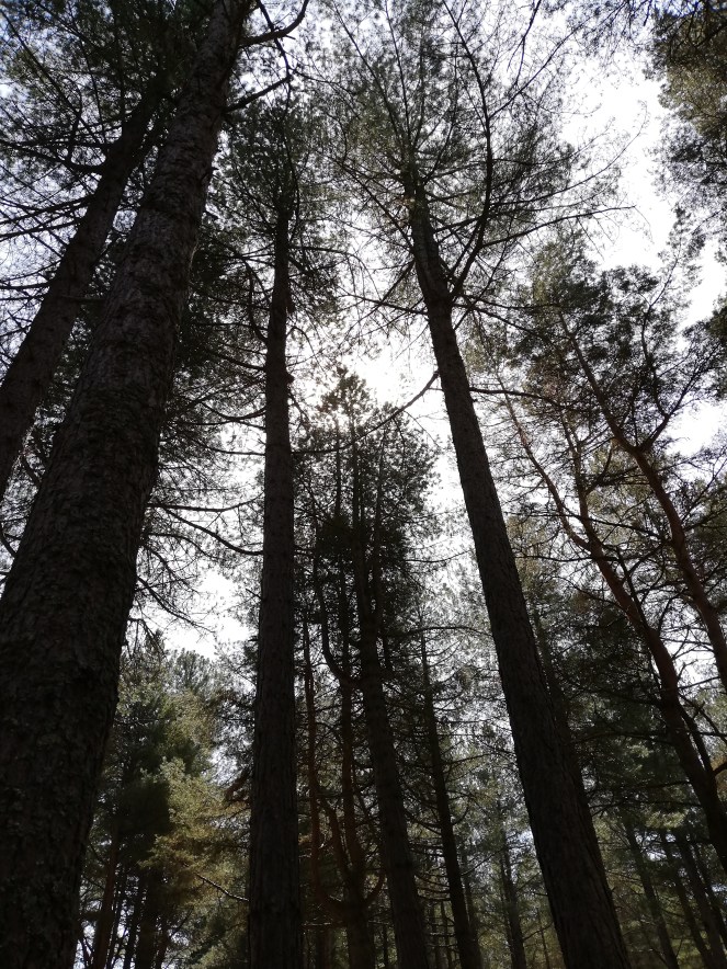 29299FAE-A9D4-44E5-B031-1522C02560DA